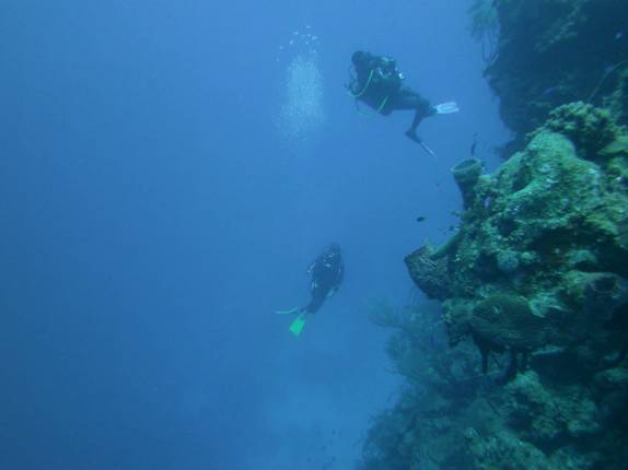 Mergulhando nas paredes de corais de Half Moon Wall, perto do Blue Hole, na grande barreira de corais de Belize